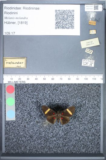 Media type: image;   Entomology 75550
